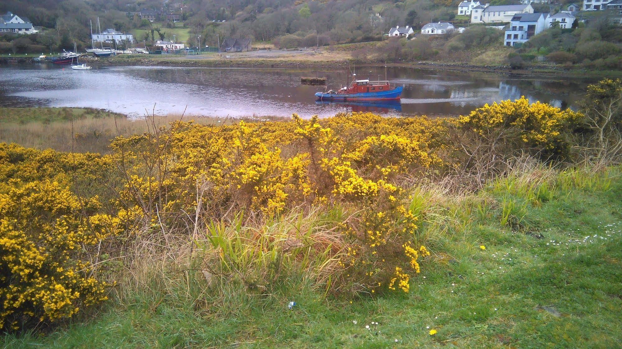 Clifden Apartment Kültér fotó